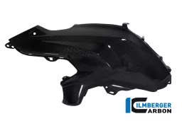 Tank Side Cover left Carbon - BMW R 1200 GS (LC from 2013)