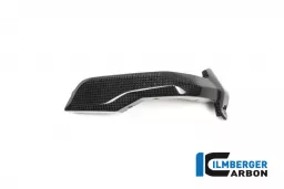 Spark Plug Cover right Side Carbon - BMW R 1200 GS (LC) from 2013 to 2015
