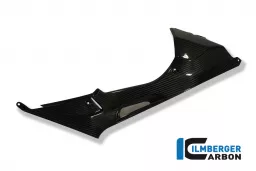 Tank Side Panel (right) Carbon - BMW S 1000 RR