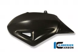 Swing Arm Cover Carbon - Ducati Diavel