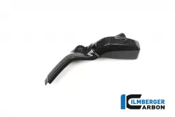 Injector cover left Side Carbon - BMW R 1200 GS (LC) from 2013 to 2015