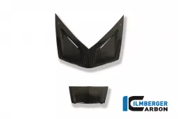 Front Fairing Covers on the light Carbon - BMW K 1300 S