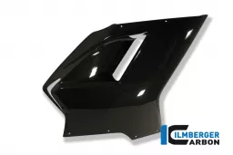 Fairing Side Panel right Carbon - Ducati 848 /1098 / 1198 / S / R