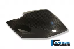 Fairing Side Panel right Carbon - BMW K 1300 S