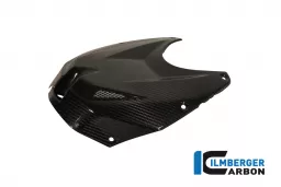 Upper Tank Cover Carbon - BMW S 1000 RR Stocksport/Racing (2010-2014)