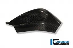 Swing Arm Covers (set - left and right) Carbon - BMW S 1000 RR Stocksport/Racing (2010-now)