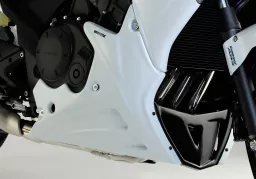 Sportsline lower fairing