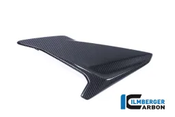 FAIRING SIDE PANEL (LEFT) - BMW S 1000 RR (ab 2017)