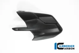 Exhaust protector Ducati MTS'15