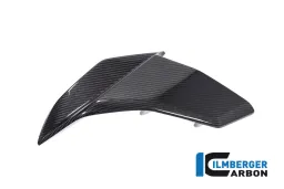 wind deflektor / side fairing left side gloss Tuono V4 from 2021