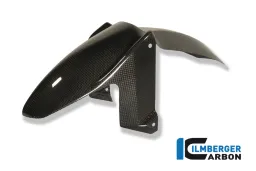 Front Mudguard Carbon - BMW F 800 R (2009-2014) / GT (2012-now)