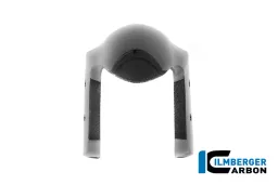 Front fender carbon gloss Panigale V4 2025