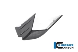 Flap on the Fairing left Side BMW M 1000 RR MY 2021-2022