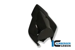 Rear Fairing Racing Carbon
