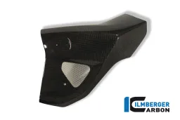 Radiator Cover left Side Carbon - BMW F 800 R (2009-2011)