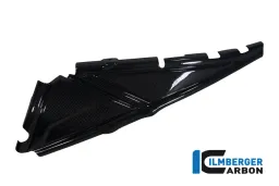 Rear Frame Cover Left Carbon - BMW R 1200 GS (LC from 2013)