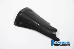 Front Silencer Protector Carbon - BMW R 1200 R (LC) from 2015 / BMW R 1200 RS (LC) from 2015