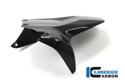 Rear fender gloss Ducati Panigale 1199 / Ducati 1299 / V2