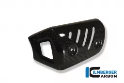 Front Silencer Protector Carbon - BMW F 800 R (2009-2014)