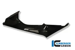 Tank Side Panel (left) Carbon - BMW S 1000 RR Stocksport/Racing (2010-2014)