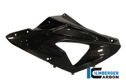 Fairing side panel left Carbon