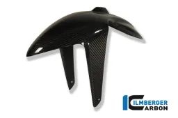 Front Mudguard Carbon - BMW K 1200 R (2005-2008) / K 1300 R (2008-now)