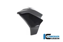 Radiator cover left gloss Diavel 1260