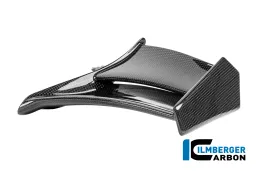 Winglet left Carbon glossy Ducati Panigale V4 R 2025