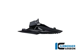 Rear fairing left carbon