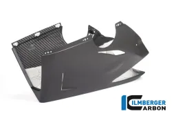 Bellypan matt Panigale V4 Racing