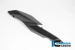 Underseat Side Panels left Carbon - BMW R 1200 R (LC) from 2015 / BMW R 1200 RS (LC) from 2015