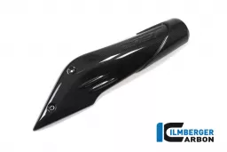 Air Channel cover (right side) Carbon - BMW R Nine T