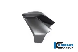 Radiator cover left matt Diavel 1260