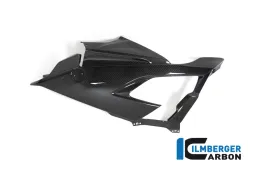 Fairing Side Panel Racing left BMW S 1000 RR from MY 2019