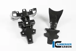 Numberplateholder Carbon - BMW R 1200 R (LC) from 2015 / BMW R 1200 RS (LC) from 2015