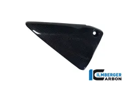 Triangular Frame Cover Left Carbon - BMW R 1200 GS (LC) from 2013 / R 1200 R (LC) from 2015 / R 1200