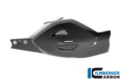 Swing arm cover Ducati Diavel V4 from 2023 gloss