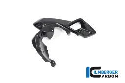 Airtube right (Upper Watercooler Cover) Carbon - BMW R 1200 GS (LC from 2013)