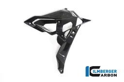 Radiator cover / Badge holder right side - BMW S 1000 R (ab 2017)