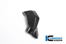 Watercooler Cover right Side Carbon - BMW R 1200 R (LC) from 2015