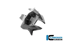 Swingarm Covers Left Carbon Matte Panigale V4 2025