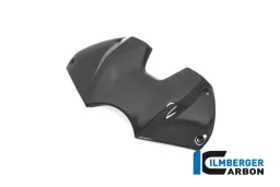 Tank Panel front gloss Panigale V4 (S) from 2022