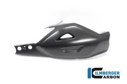 Swingarm guard Ducati Diavel Bentley matte