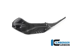 Tank Side Panel left Full Version BMW S 1000 RR from My 2019