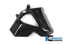 Radiator Cover (right Side) - BMW F 800 R (ab 2015)