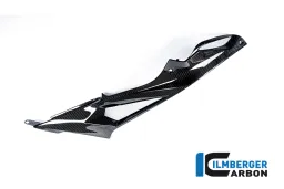 Tank Side Panel right Side Carbon - BMW S 1000 R / S 1000 RR Steet (from 2015)