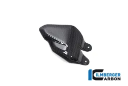 Healguard right Ducati Diavel V4 from 2023 gloss