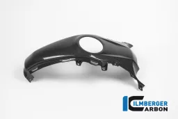 Tank Centre Panel Carbon - BMW R 1200 R (LC) from 2015 / BMW R 1200 RS (LC) from 2015