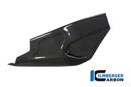 Swing arm cover right side BMW HP4 RACE