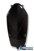 Alternator Cover Carbon - BMW R 1200 GS